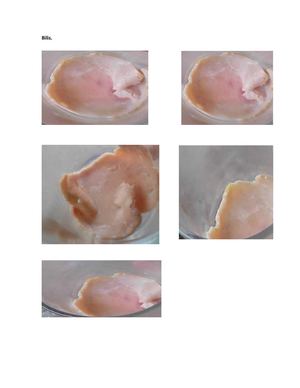 Experimento De La Osmosis De La Digestion Leslie Rios