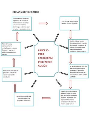Matematicas Organizadorers Graficos