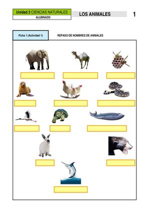 Animales