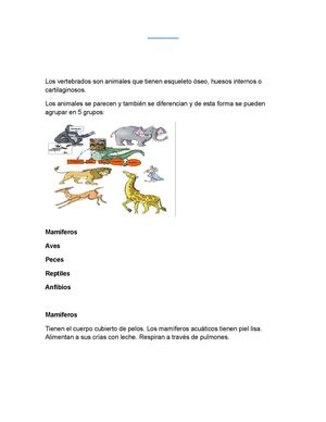 Los Vertebrados Son Animales Que Tienen Esqueleto óSeo