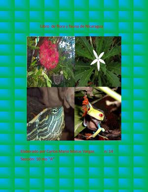 flora y fauna de los nicaraguenses