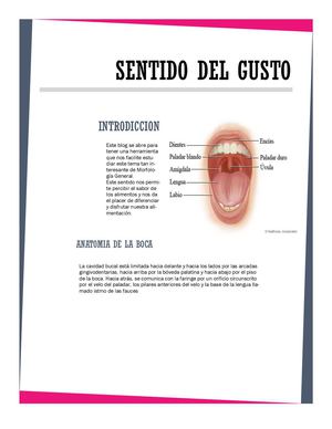 Sentido Del Gusto