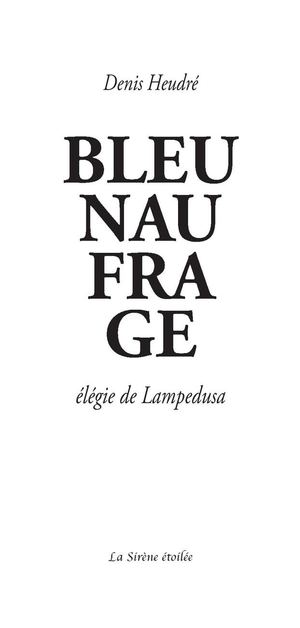 Denis Heudré : Bleu Naufrage