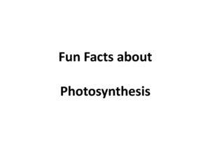 Fun Facts About Photosynthesis