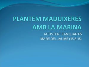 Plantem maduixeres amb la Marina