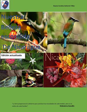 Flora De Nicaragua