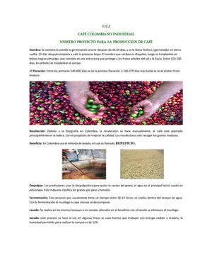 El cultivo del café colombiano