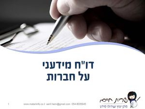 דוח מידעני חברות