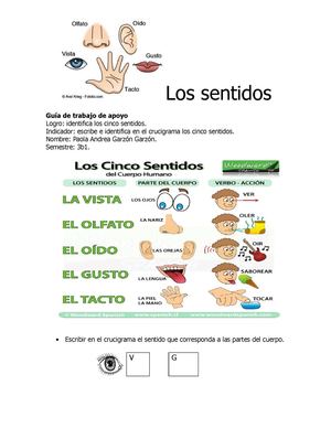 Guía De Trabajo De Apoyo