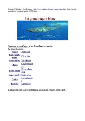 Requin