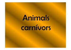 Animals Carnívors