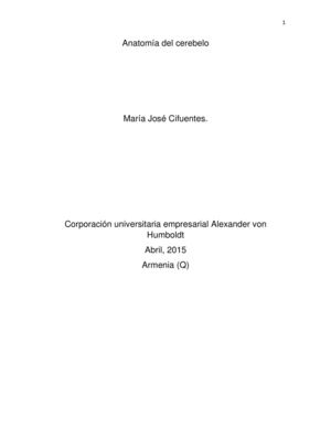 Anatomã A Del Cerebelo