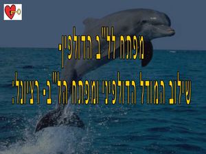 מצגת דולפין שנתי מפתח ללב