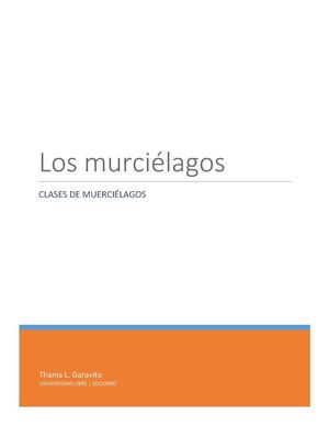 Los Murciélagos