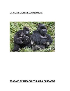 Funcion Nutricion De Los Gorilas