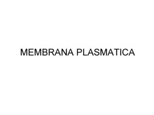 Membrana Plasmatica -Estructura y Transportes-