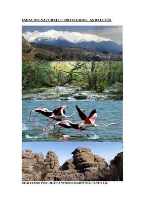 Martínez Castillo Juan Antonio Rtu Tarea 5 1