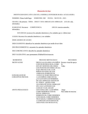 Plan De Clase ( Animales Domesticos)