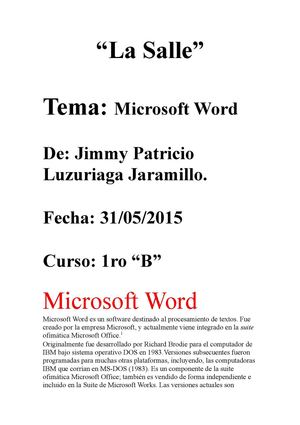 Microsoft Word