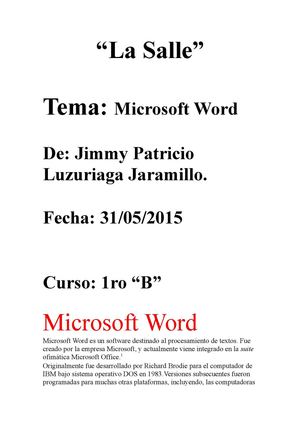 Microsoft Word