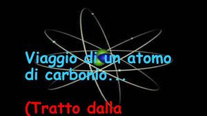 Viaggio In Un Atomo Di Carbonio
