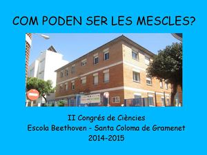 Com poden ser les mescles?