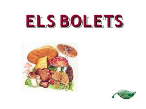 Bolets Ci