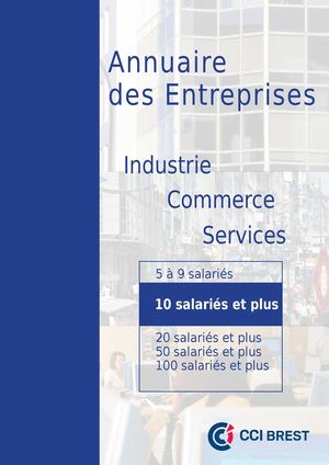 Entreprises 10 Salariés Et Plus Sur La Circonscription De Brest Mai 2015