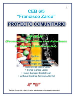 Proyecto Comunitario.