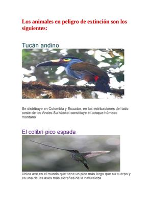 Animales En Extinción