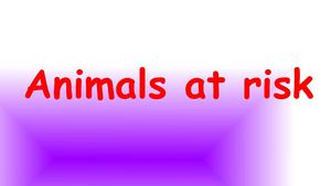 Animals At Risk Alberta, Benedetta, Alice, Martina S.