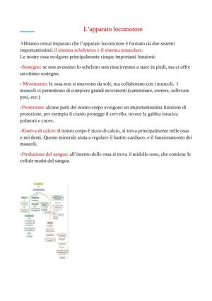 L'apparato Locomotore Benedetta
