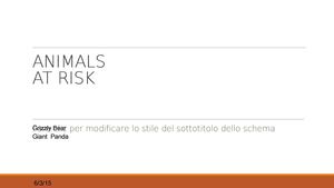 Animals At Risk Federico