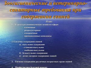 Зоогигиенические и ветеринарно санитарные требования при содержании свиней