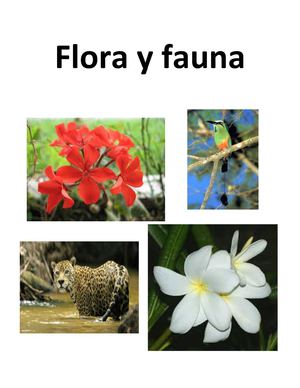 Flora Y Fauna Del Pais