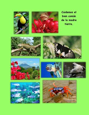 Flora Y Fauna De Nic