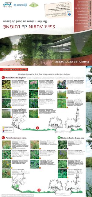 Parcours découverte du sentier nature des bords du Layon à Saint Aubin de Luigné