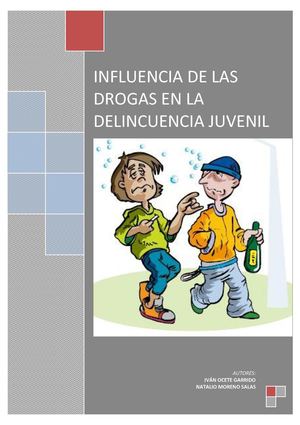 Influencia De Las Drogas En La Delincuencia Juvenil