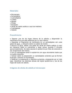 Trabajo Práctico N°1