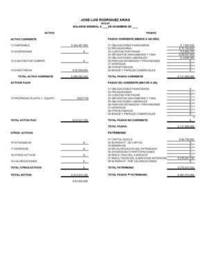 Formato Balance General Y Estado De Resultados
