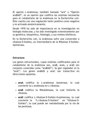 El Operón L Arabinosa Traduccion