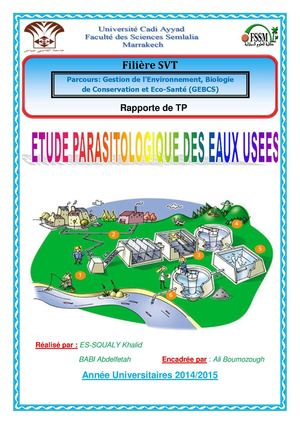 Rapport Tp Parasitologie