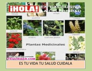 PLANTAS MEDICINALES