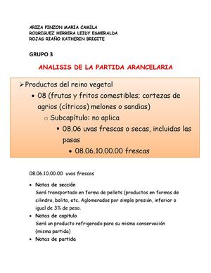 Análisis De La Partida Arancelaria