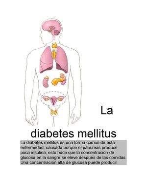 Enfermedades Endocrinas(trabajo)