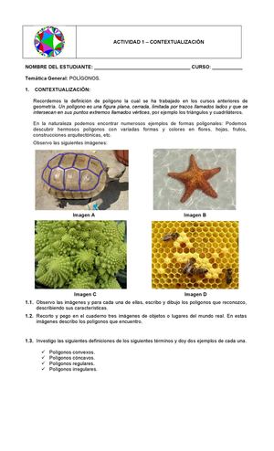 Actividad 1 Contextualización