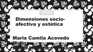 Dimensiones Socio Afectiva Y Estética
