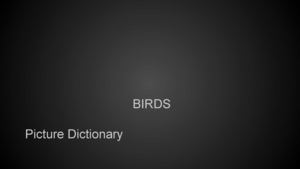Children's Dictionary