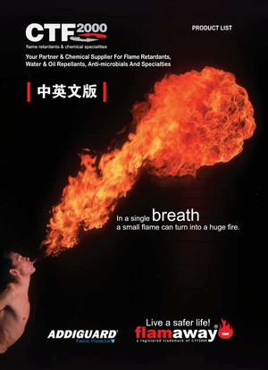 Ctf2000 Catalogue 2015 CN