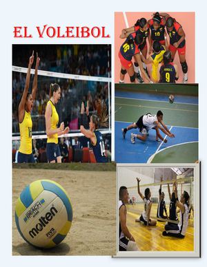 Revista Del Voleibol